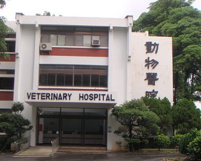 動物醫院